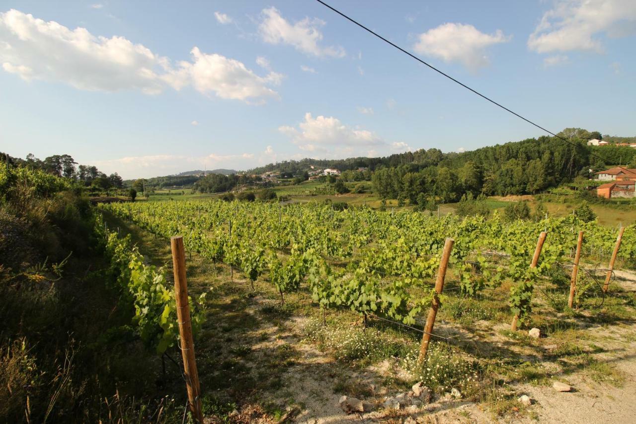 Гостьовий будинок Quinta D'Areda Wine&Pool Experience Фафі Екстер'єр фото